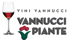 Vin Vannucci Logo verticale